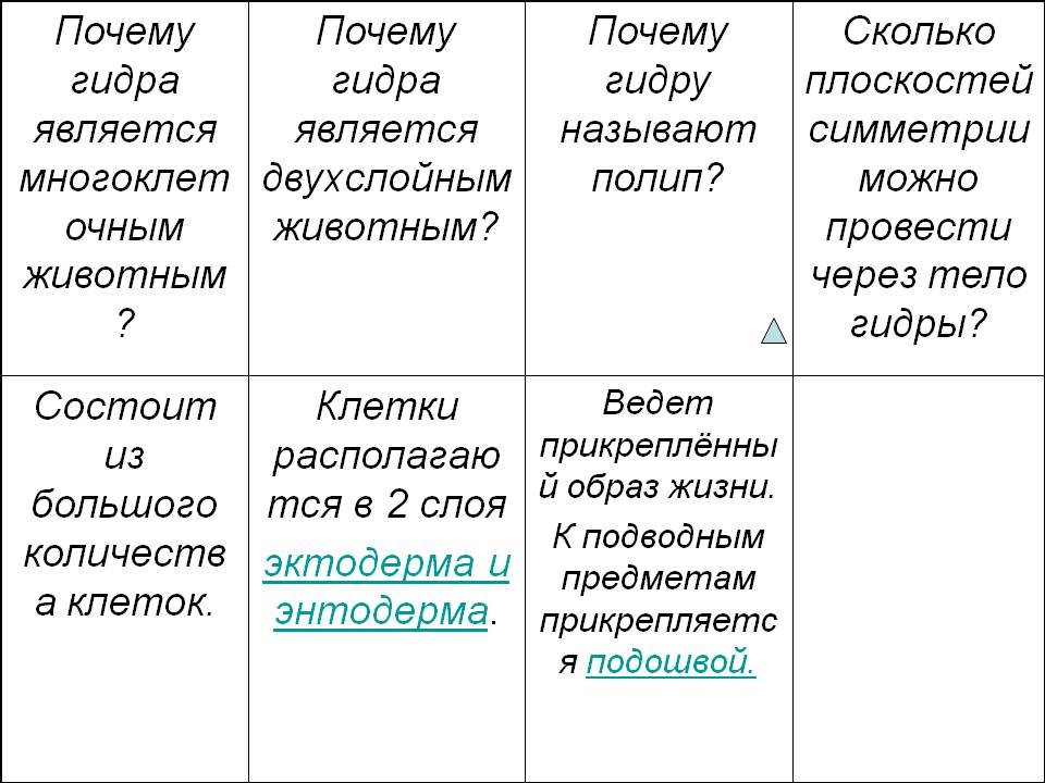 Что такое кракен магазин