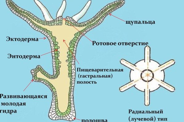 Кракен магазин ссылка