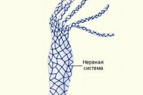 Скачать кракен тор