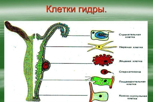 Сайт мега кракен