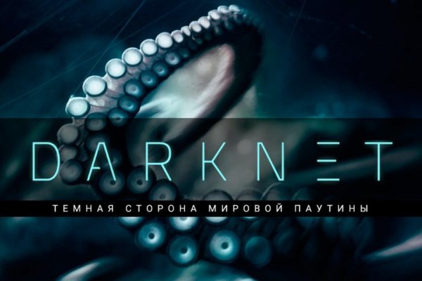 Kraken 24 at