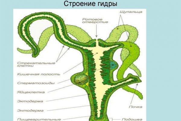 Kraken 13at зеркало